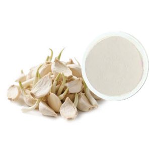 Freeze-Dried Vegetable Powder Garlic