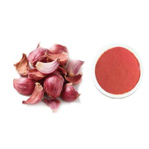 Freeze-Dried Vegetable Powder Onion