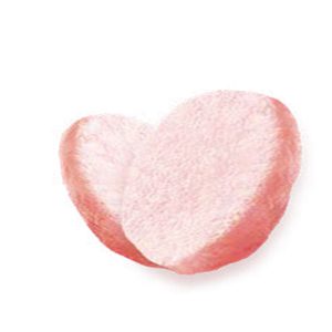 Freeze-Dried Rice Cakes Yogurt With Berry