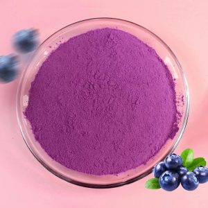 Freeze-Dried Blueberry Powder