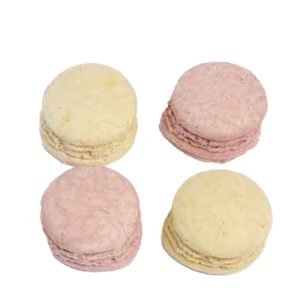Freeze-Dried Macarons