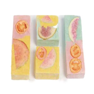 Fruit Yogurt Bricks