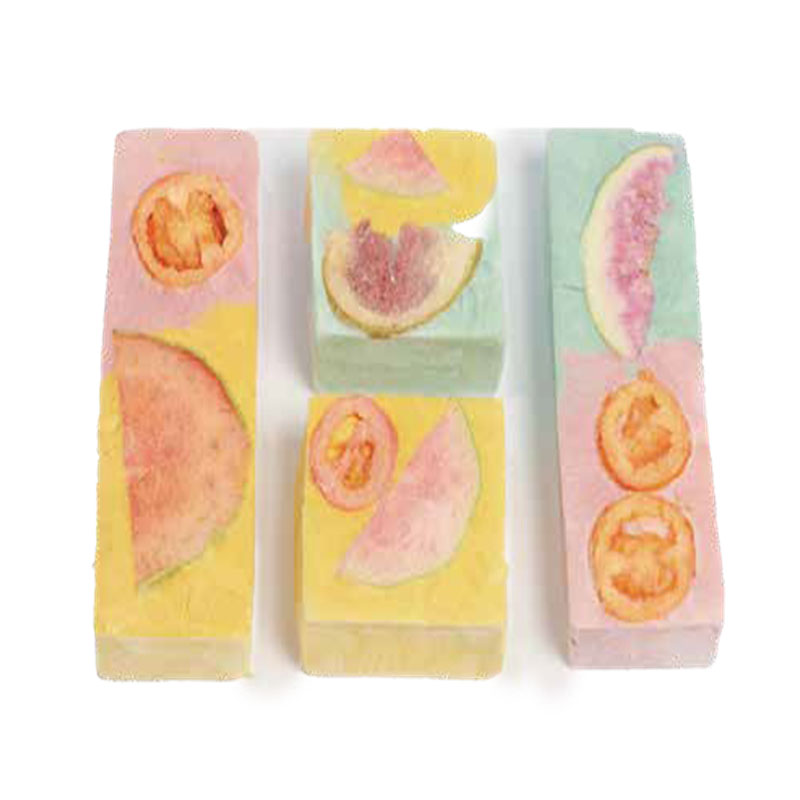 Fruit Yogurt Bricks