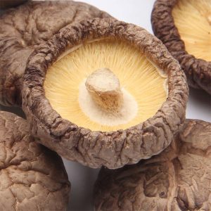 Freeze-Dried Shiitake Mushroom