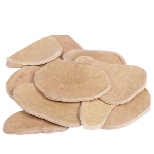 Freeze-Dried Pork Treasure Slices